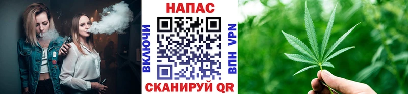 Бошки марихуана конопля  Павлово 